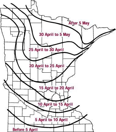 Minnesota Ice Out Dates